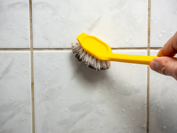 Best Mold Remediation for Specific Building Types in South Taft, CA