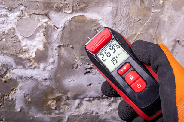 Best Commercial Mold Remediation in South Taft, CA
