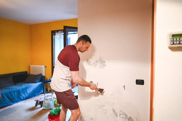 Best Residential Mold Remediation in South Taft, CA