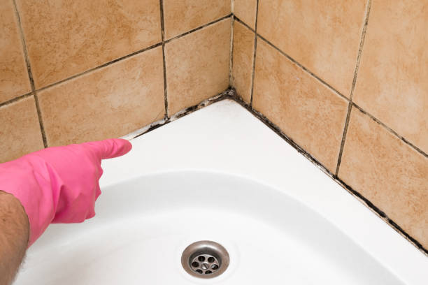 Best Post-Remediation Services in South Taft, CA
